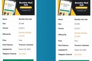 Descargar Bumble Boost Gratis (Todo desbloqueado)