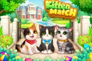 Generador Kitten Match Monedas y Medallas ilimitado Gratis